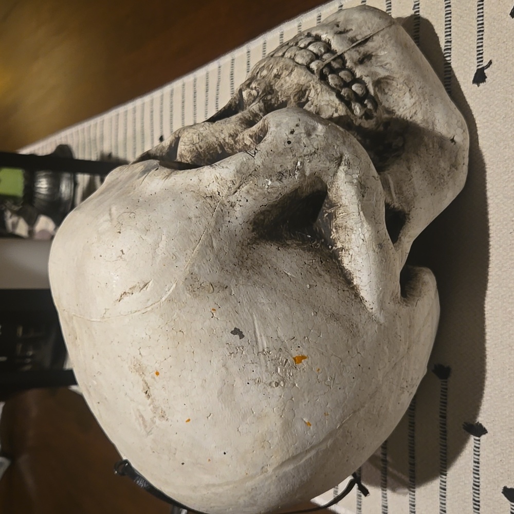 Halloween Skull - Picture 5 of 6